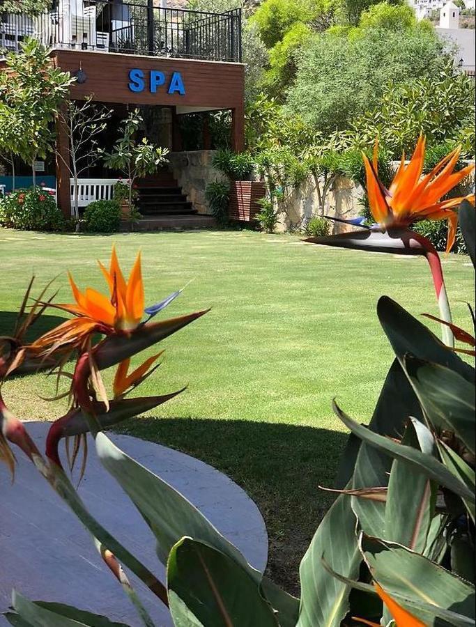Liona Hotel & Spa 군도간 외부 사진